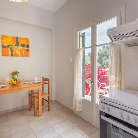 拉帕诺斯公寓 帕莱欧卡斯提撒